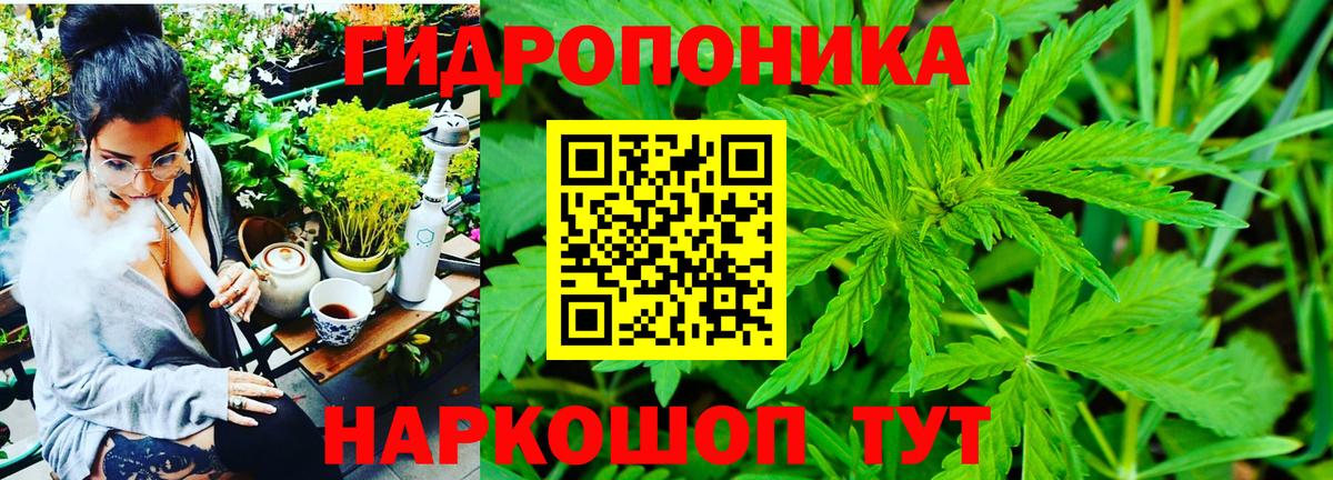 Бошки марихуана план Аргун